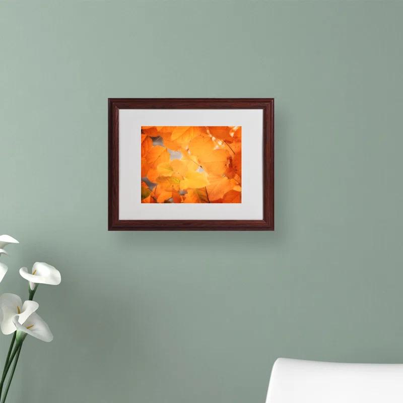 Trademark Fine Art " Seasonal Leaves " by Philippe Sainte-Laudy