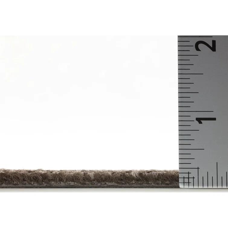 Shaw Apollo 24-in x 24-in Multi-Level Loop Adhesive Carpet Tile (48-sq ft)