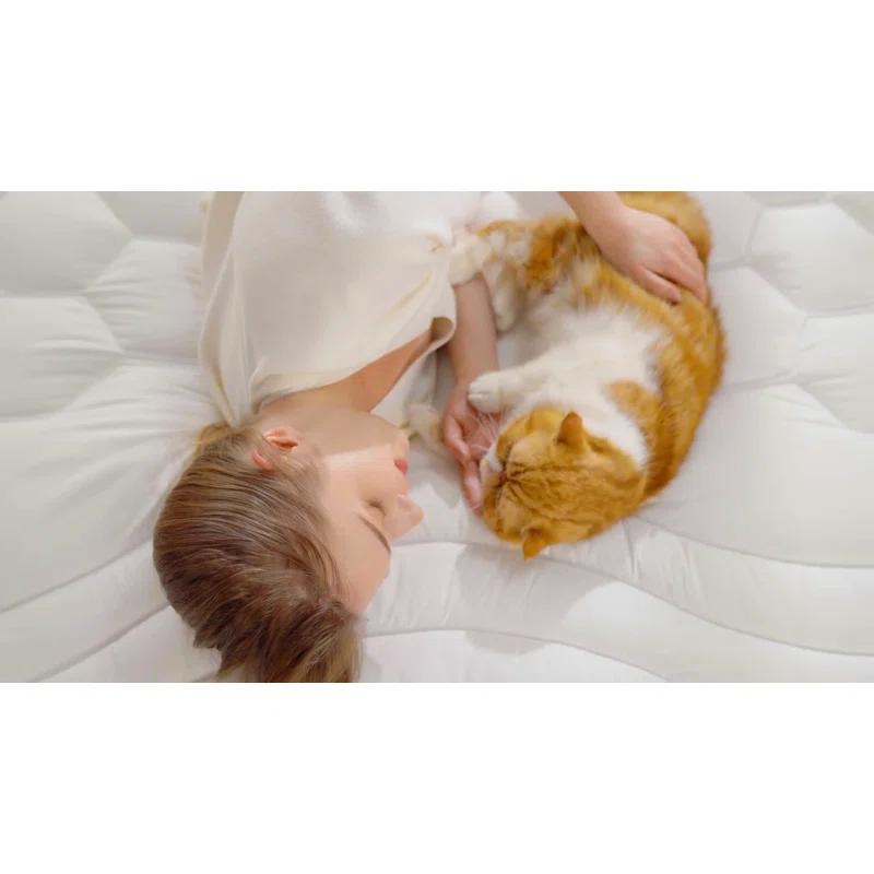 Bedsure Bedsure Quilted Fitted Mattress Topper