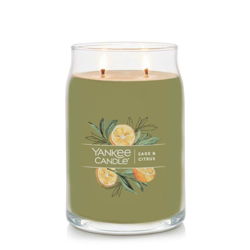 YANKEE CANDLE Signature Sage & Citrus Scented Jar Candle