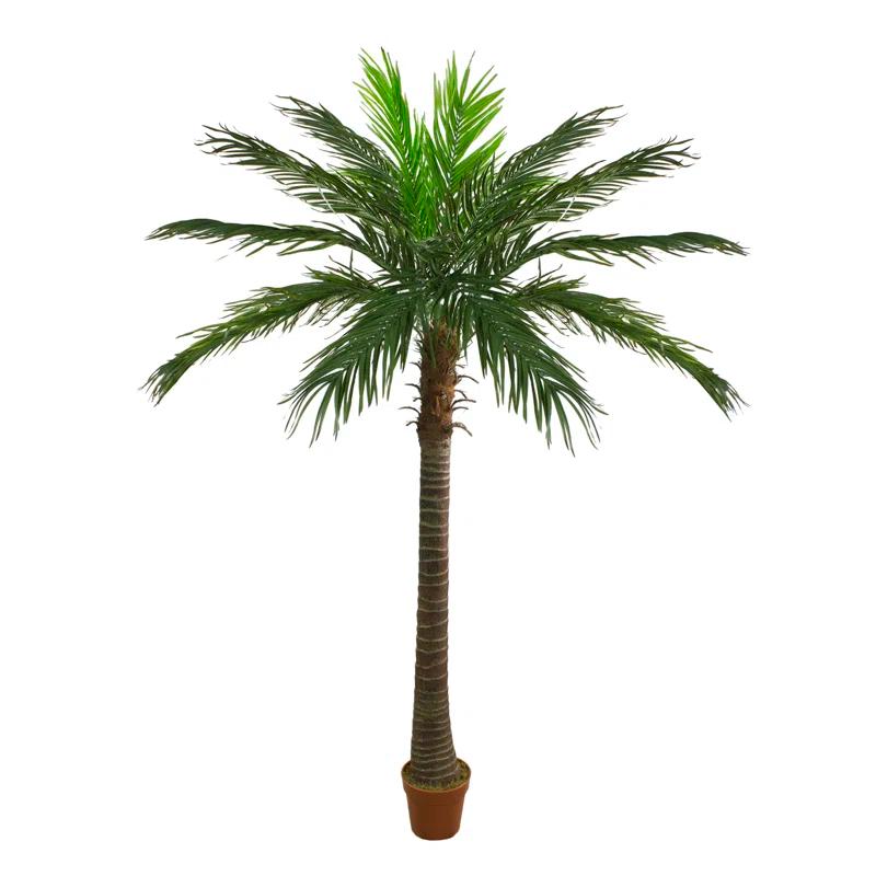 Northlight Seasonal 70" Green and Brown Potted Artificial Phoenix Palm Tree