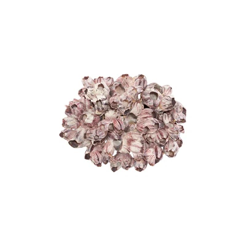 Phillips Collection Barnacle Cluster Wall Art, LG