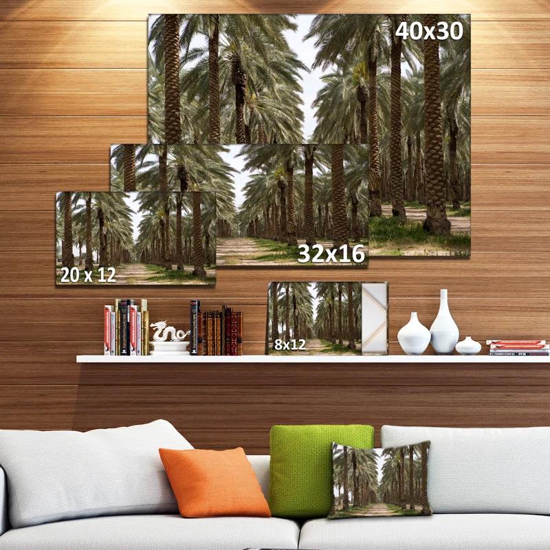 Design Art " Date Palm Plantation Photography "