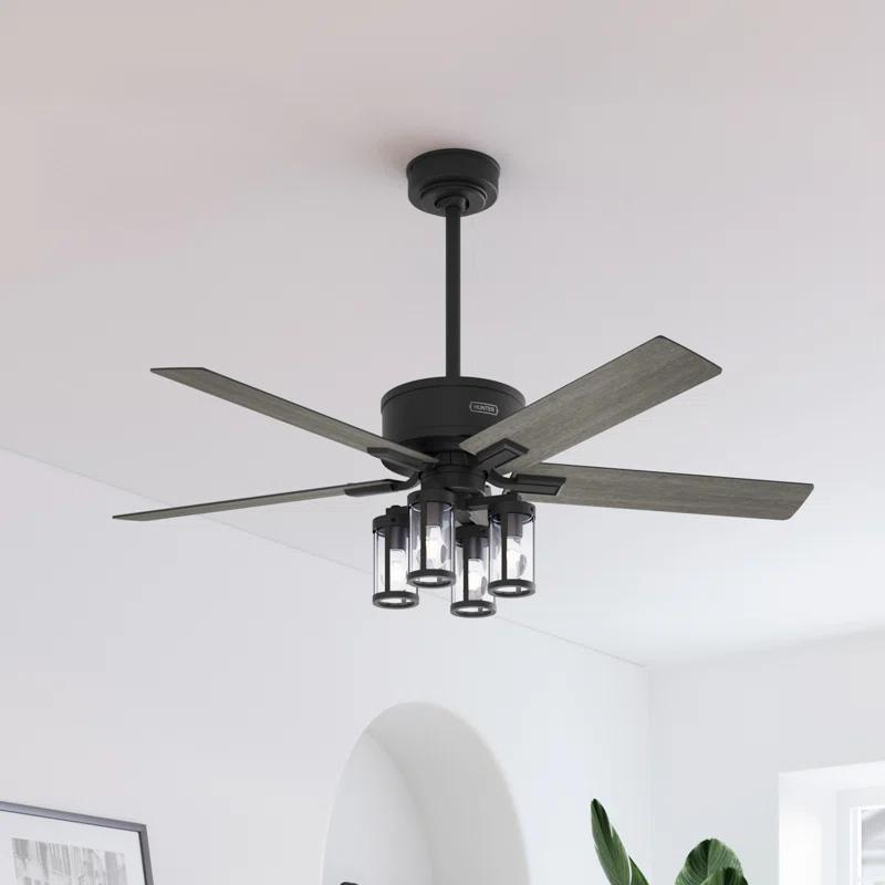 Hunter Fan Hunter 52 inch Astwood II Ceiling Fan with Lights and Remote