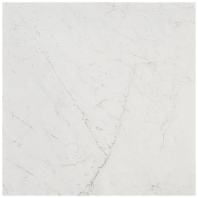 24" x 24" Polished Marble Look Porcelain Floor and Wall Tile (15.5 Sq. Ft. / Case)