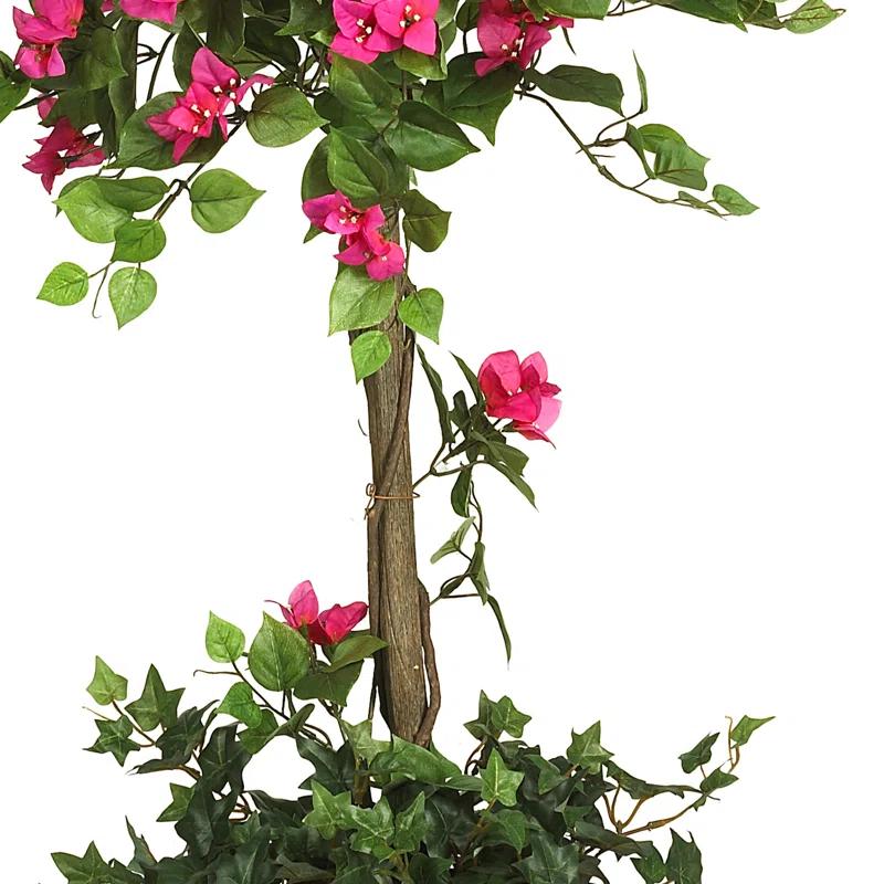Primrue 5ft. Mini Bougainvillea Topiary