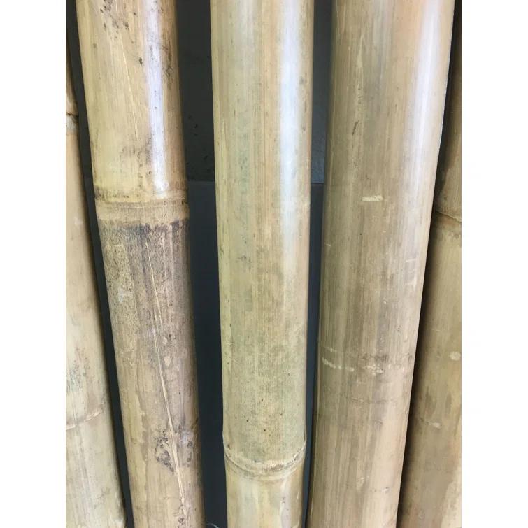 MGP XL 2.5 inches Bamboo Pole Fencing