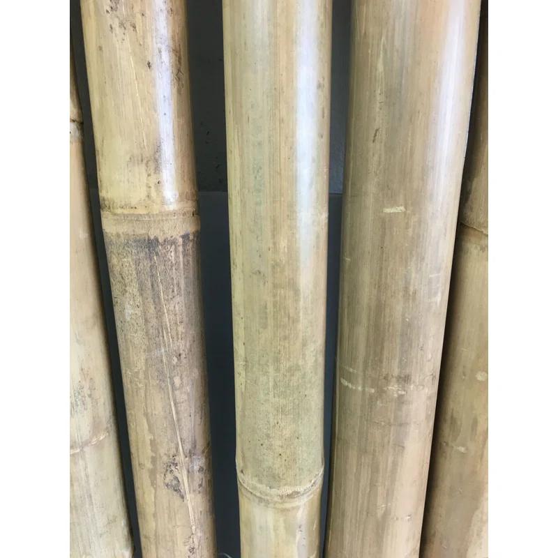 MGP XL 2.5 inches Bamboo Pole Fencing