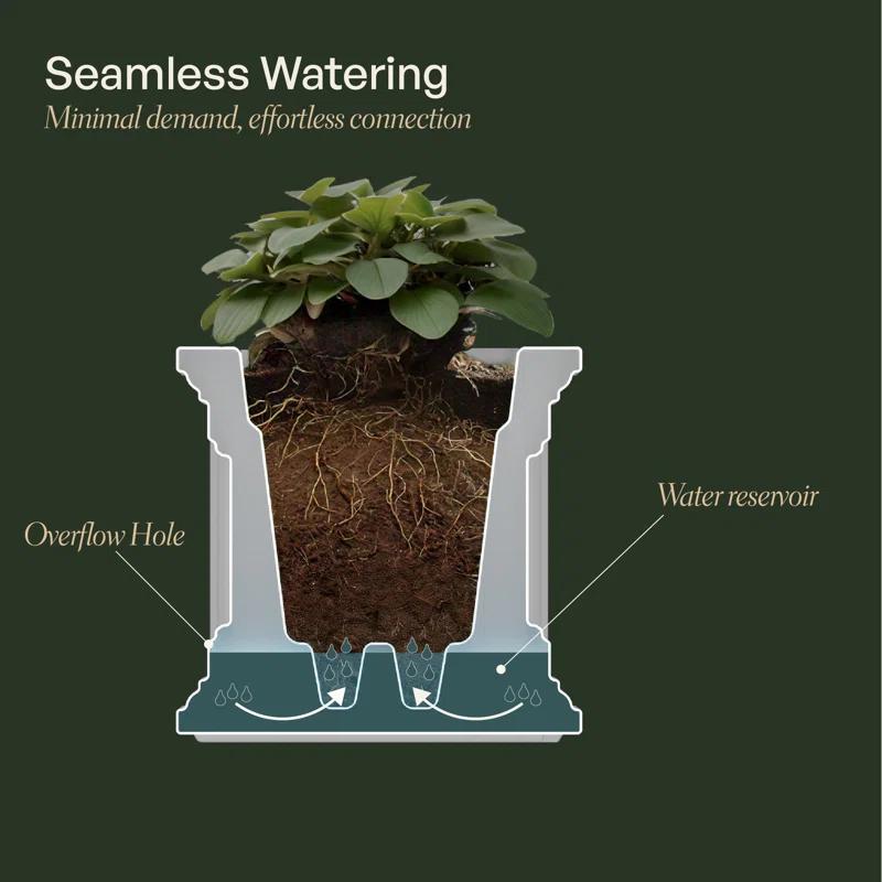 Winston Porter Anastassia Planter Box