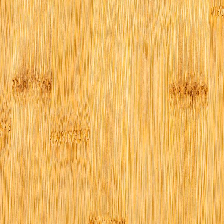 Gracie Oaks Enayah Food Storage Container