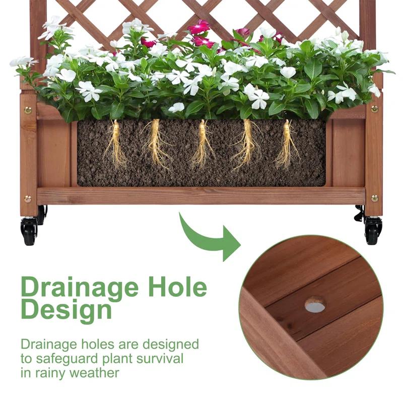 August Grove® Raised Garden Bed With Trellies 2 Pack, Outdoor Wooden Planter Box For Climbing Plants, Vegetables Herb Growing