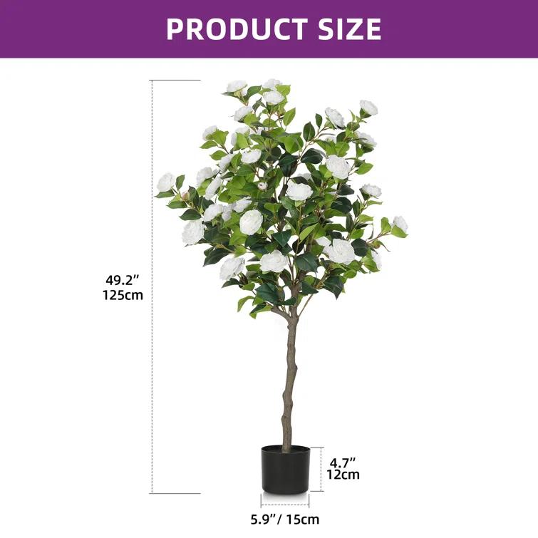 Primrue Primrue 49.2 Camellia Tree Plant (Set of 2)