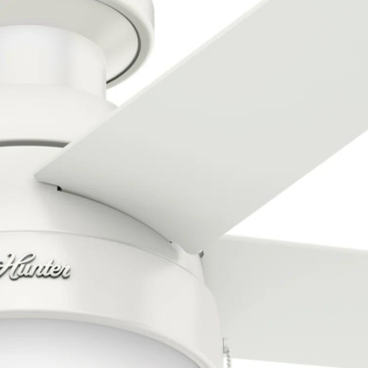 Hunter Fan 46" Anslee 5 - Blade LED Flush Mount Ceiling Fan with Pull Chain and Light Kit Included