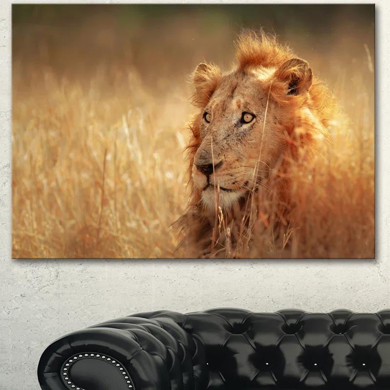 Design Art " Relaxing Lion In Grassland "