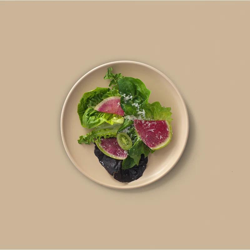 JoyJolt JoyJolt Mesa 6pc Stoneware 8" Salad plate set (Set of 6)