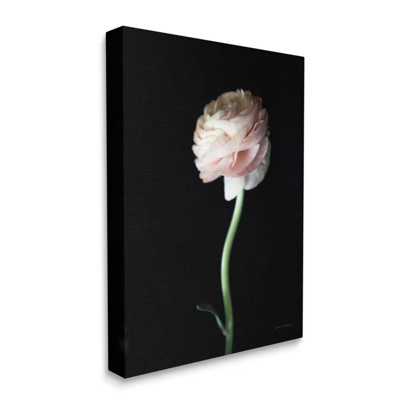 Stupell Industries " Ranunculus Flower " by Debra Van Swearingen