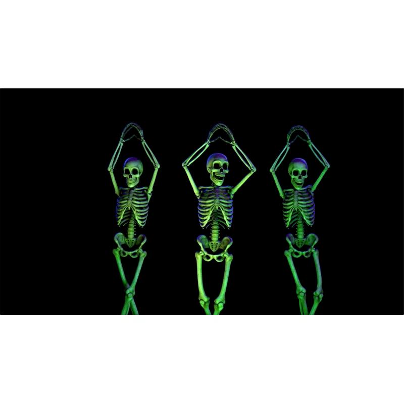 Holiscapes Halloween Digital Decoration on USB Includes 8 Atmosfx Video Effects For Halloween