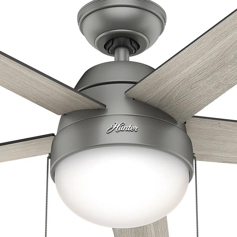 Hunter Fan 46" Anslee Standard Ceiling Fan with Pull Chain and Light Kit Included