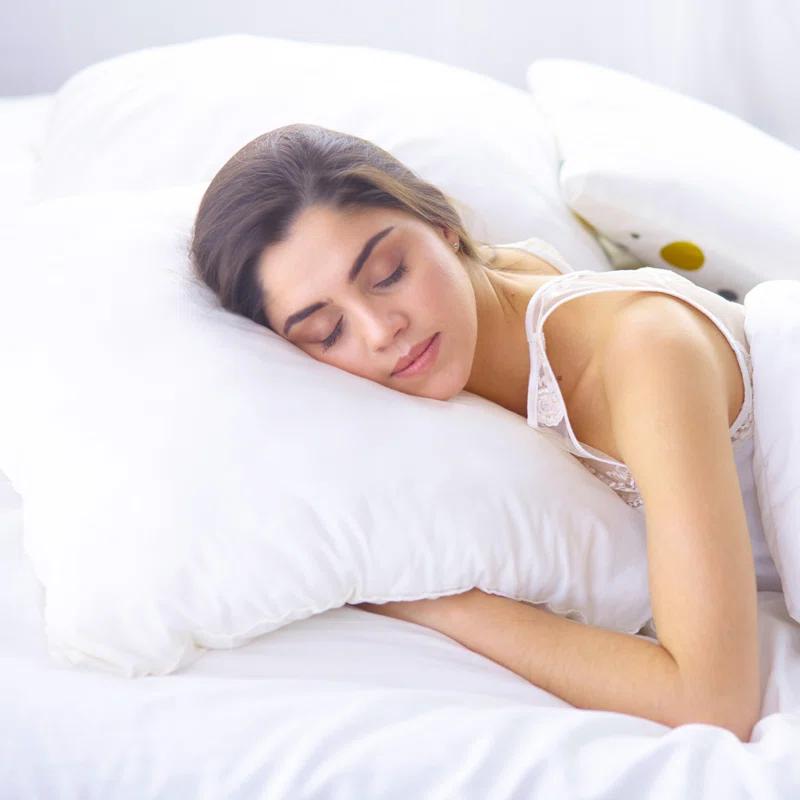 Martex White European Size 26 x 26 inches - Perfect for Bed or Couch - Soft & Durable Decorative