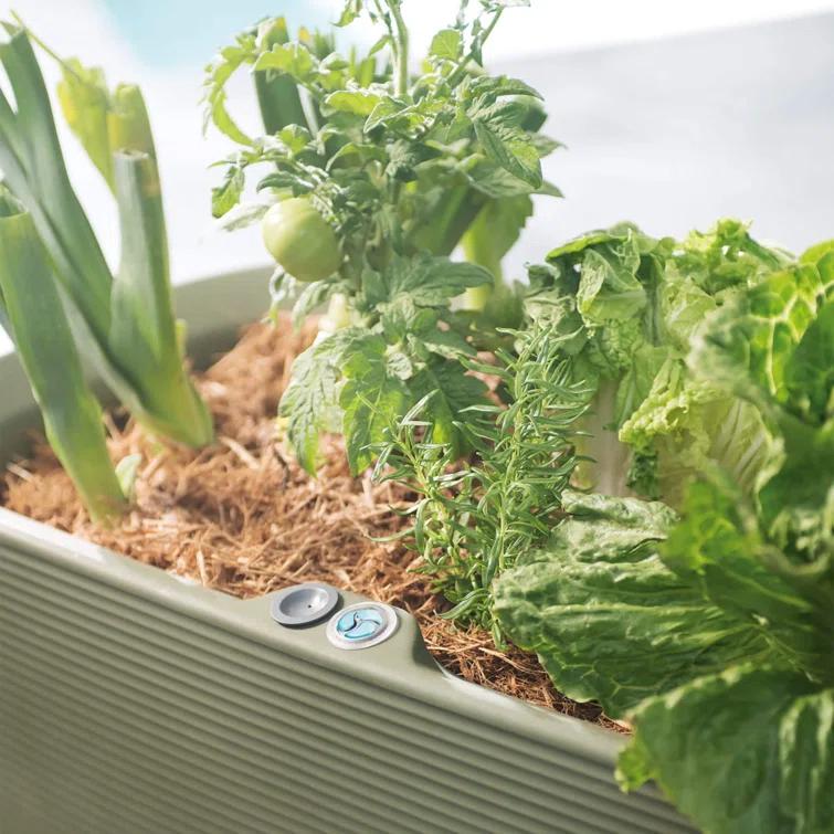 Nest Self Watering Raised Planter Box