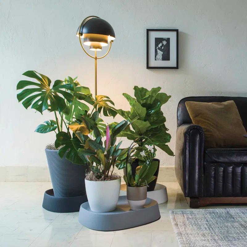 Pebble Modern Durable Plant Caddy