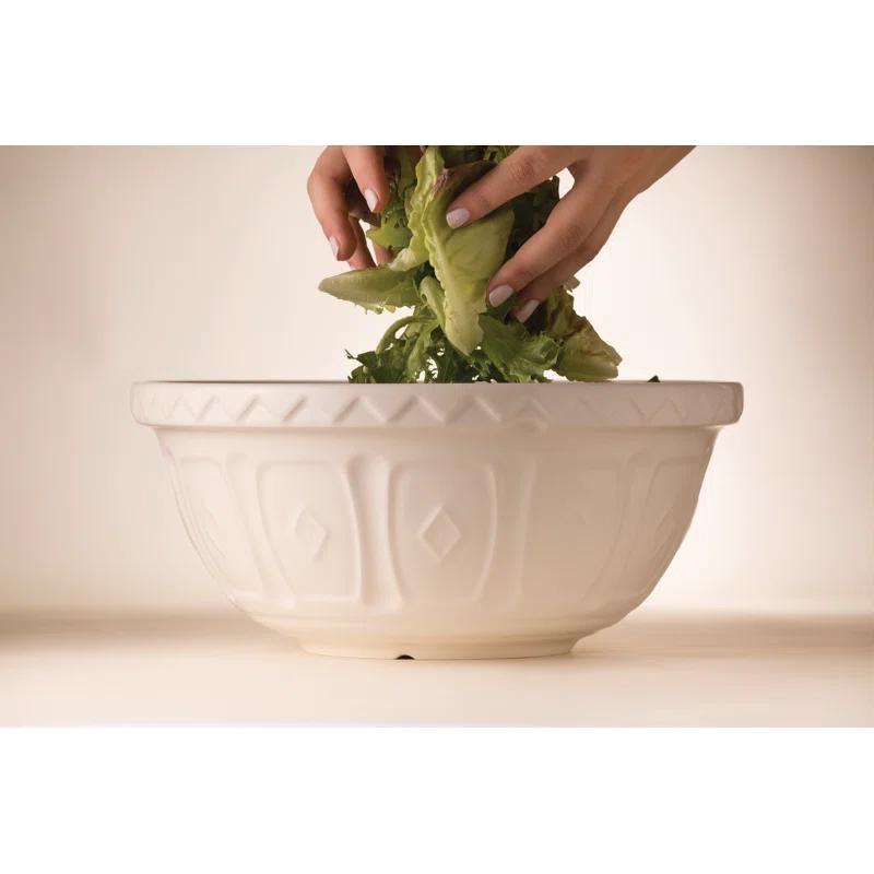 Mason Cash Color Mix Earthenware Mixing Bowl