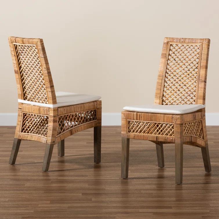 Bayou Breeze Argos Modern Bohemian Rattan Dining Chair (Set of 2)