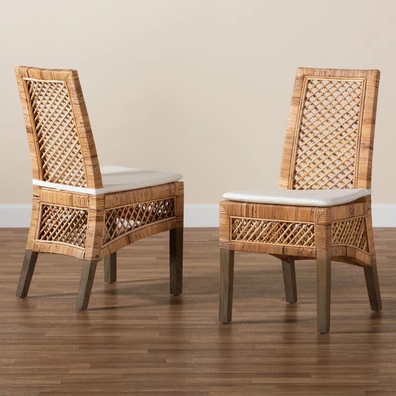Bayou Breeze Argos Modern Bohemian Rattan Dining Chair (Set of 2)