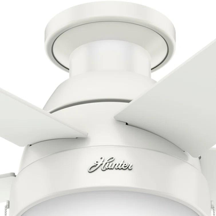 Hunter Fan 46" Anslee 5 - Blade LED Flush Mount Ceiling Fan with Pull Chain and Light Kit Included