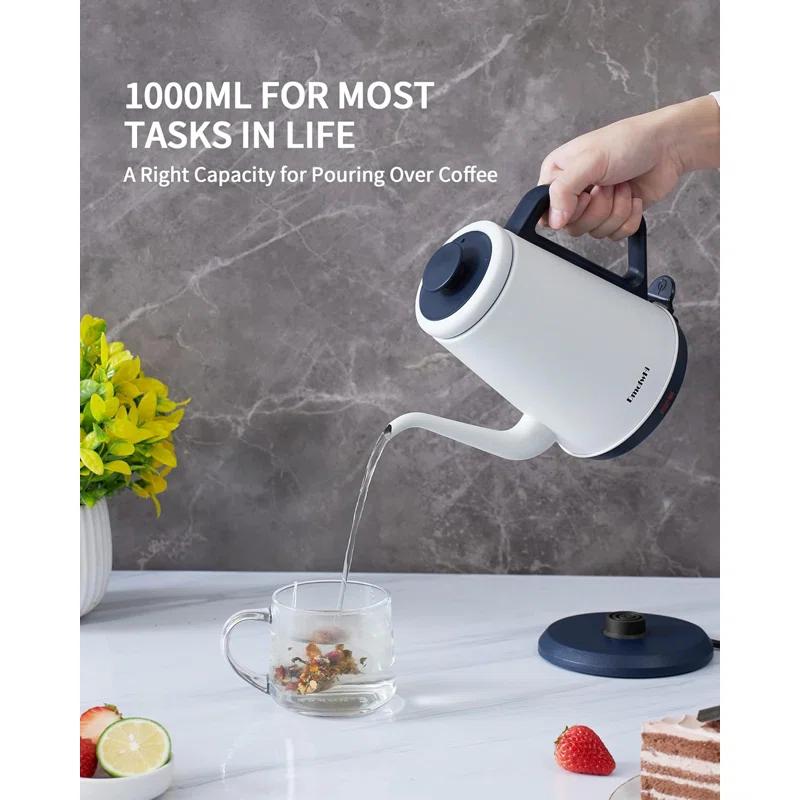 Basowin Gooseneck Electric Kettle(1.0L),1000W Electric Tea Kettle Of 304 Stainless Steel,Auto Shut Off,Coffee Kettle For Pour Over And Tea