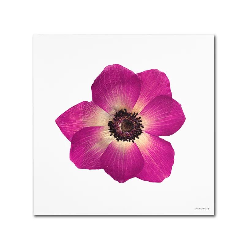 Trademark Fine Art 'Hot Pink Flower Photographic Print