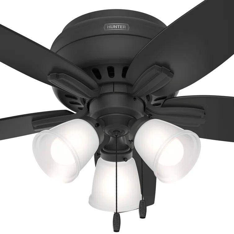 Hunter Fan Newsome 42" 5 - Blade Traditional Indoor Flush Mount Ceiling Fan with Lights and Pull Chains