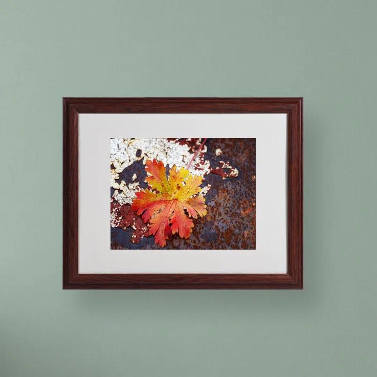 Trademark Fine Art Autumn " Autumn Rust " by Philippe Sainte-Laudy