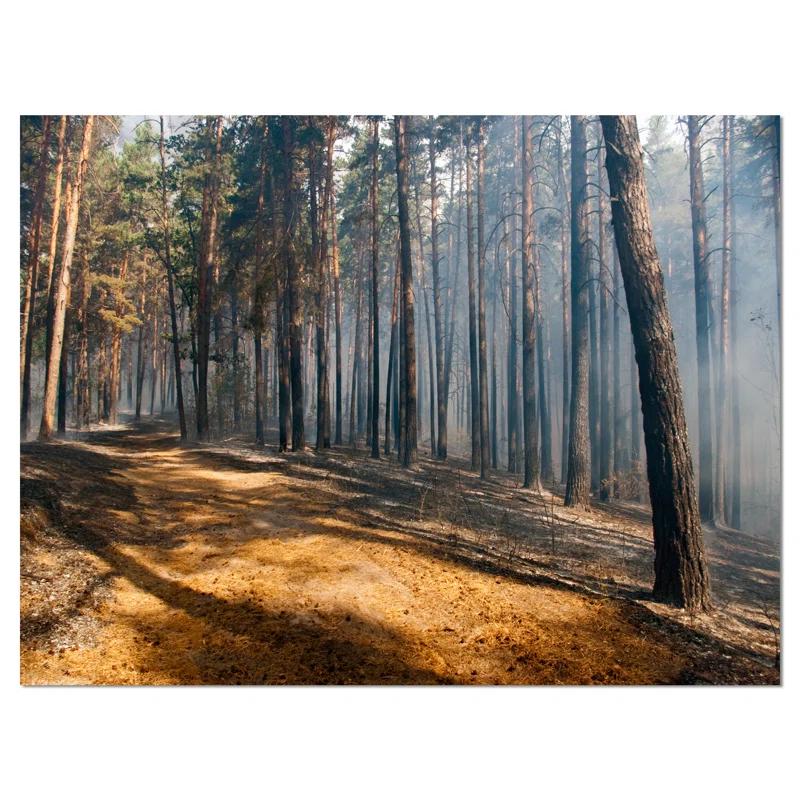 " Fire In Forest With Flame And Smoke "