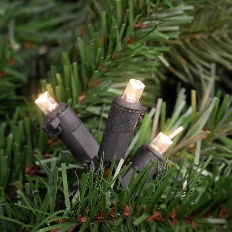 Northlight Seasonal 50ct Warm White LED Wide Angle Christmas Lights - 16.25 ft Black Wire