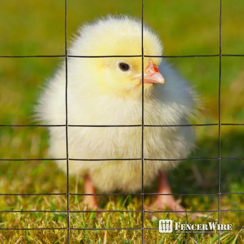 Fencer Wire Fencer Wire Vinyl Coated 16 Gauge Rabbit Guard Fence, Poultry Outdoor Fencing Barrier Wire Roll