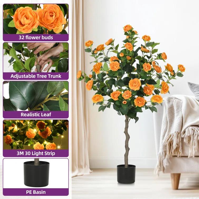 Primrue Primrue 49.2 Camellia Tree Plant (Set of 2)