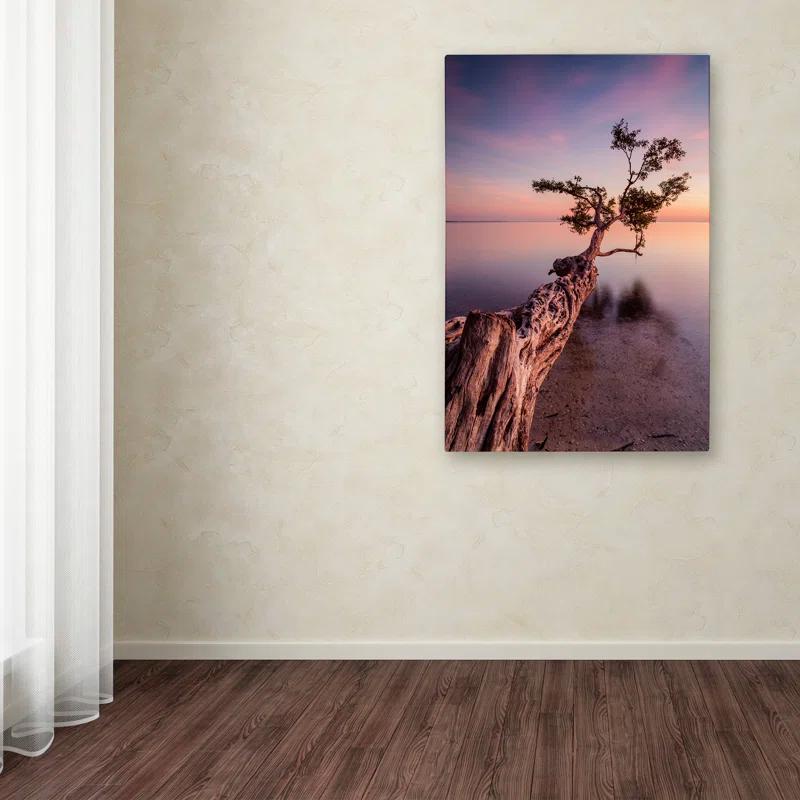 Trademark Fine Art "Water Tree IV" by Moises Levy Photographic Print on Wrapped Canvas