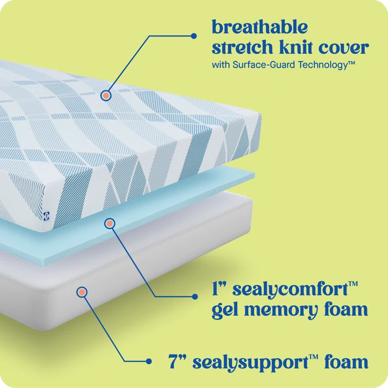 Sealy Dreamlife 8” Medium-Firm Foam Mattress-in-a-Box