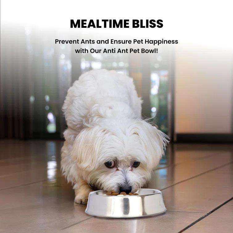 Iconic Pet Anti Ant Non-Skid Pet Bowl (2 Bowls) (Set of 2)