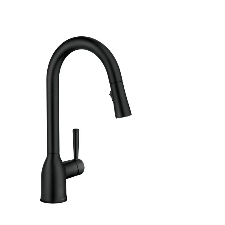 Moen Adler Pull Down Single Handle Kitchen Faucet with Accessories 87233BL