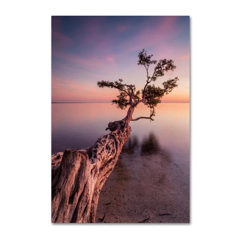 Trademark Fine Art "Water Tree IV" by Moises Levy Photographic Print on Wrapped Canvas