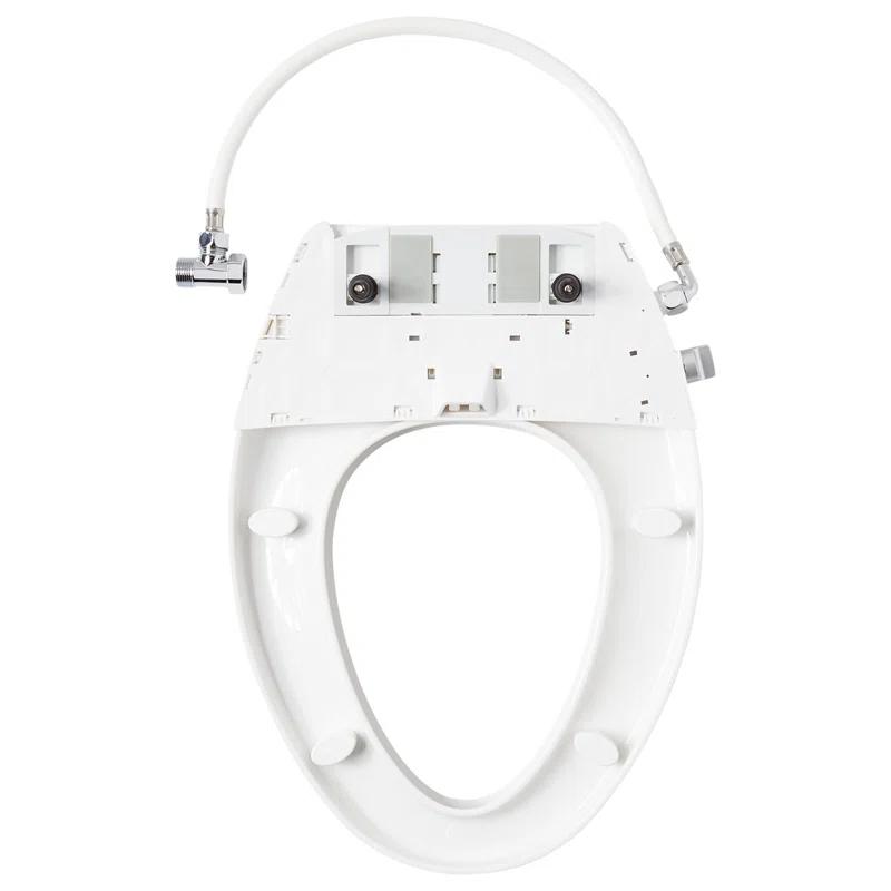 Carraway Two-Piece Skirted Elongated Toilet