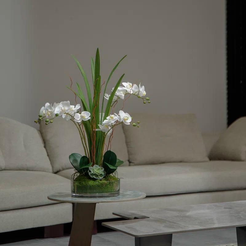Fiori Sempre 29.5" White Orchid Arrangement in a Glass Vase| Real Touch White Moth Phalaenopsis Orchids by Fiori Sempre
