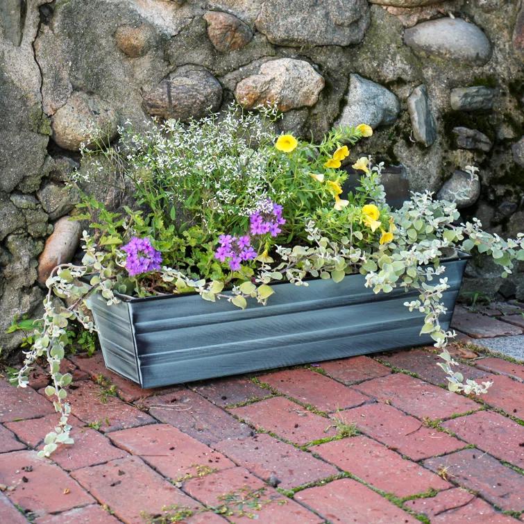 Winston Porter Dynamism Metal Window Box Planter