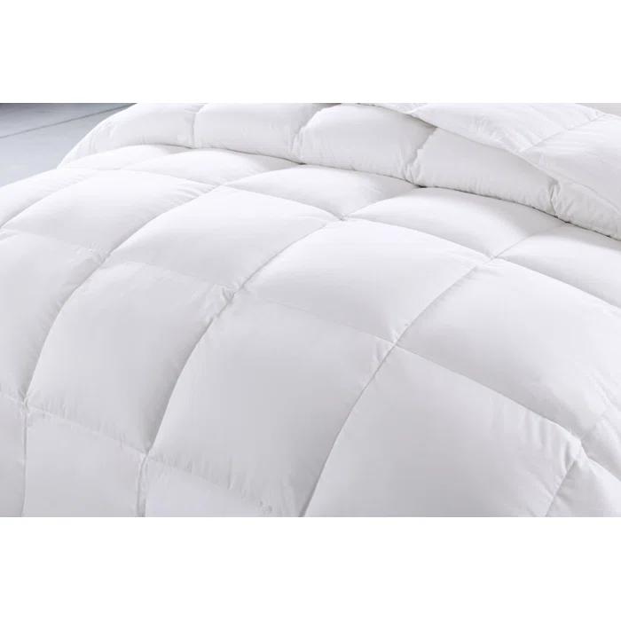 Alwyn Home Twin 600in³/oz Fill Power Winter Goose Down Comforter