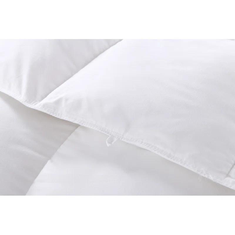 Alwyn Home Twin 600in³/oz Fill Power Winter Goose Down Comforter