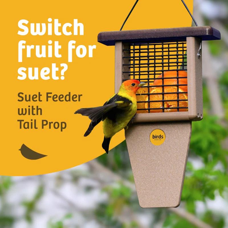 Birds Choice Birds Choice 12" Recycled Single Cake Tail Prop Suet Feeder, Taupe/Green