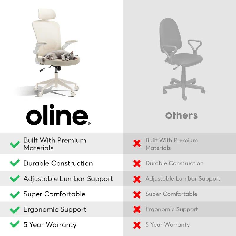 Oline Oline ErgoAir Ergonomic Office Chair – Adjustable Lumbar Support, Flip-Up Armrests, Mesh Computer Desk Chair, Swivel Rolling Executive Gaming Chair for Home & Office