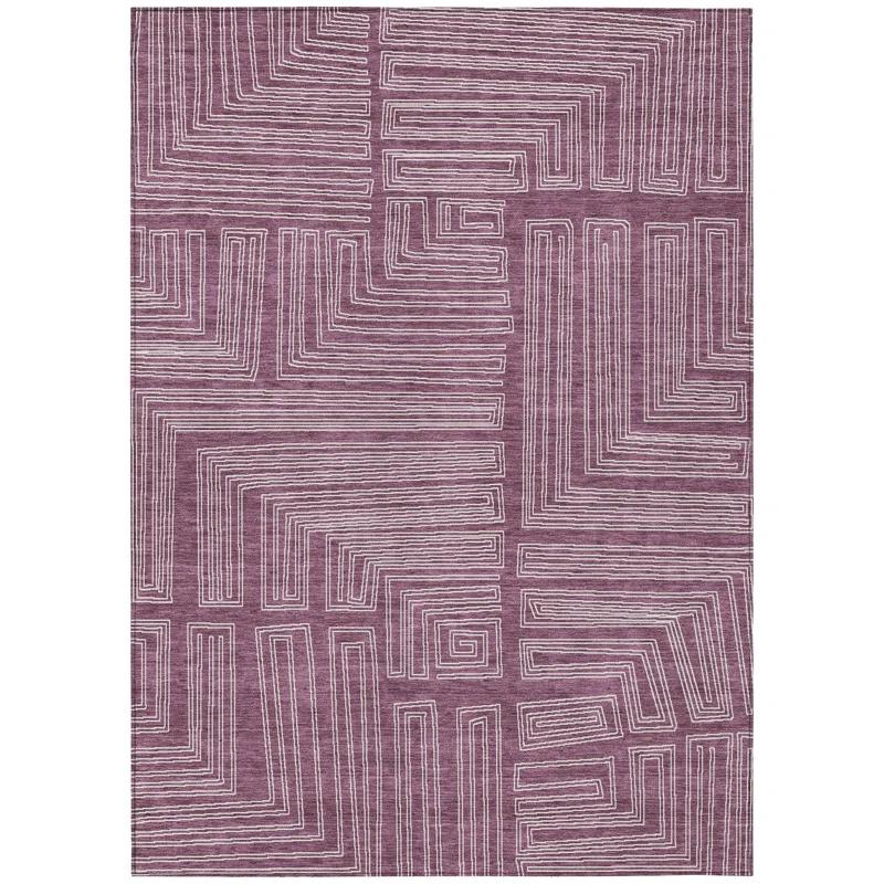 Machine Washable Indoor/Outdoor Chayden ACN1045 Eggplant Rug